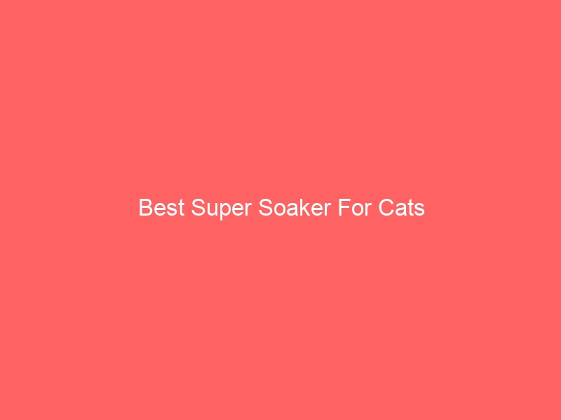 Read more about the article Best Super Soaker For Cats